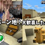 【マイクラの洗礼(涙)】ピラミッドに村３つ、鍾乳洞！初期スポーン地が神だと大興奮していたら…【令和の初心者マイクラ #9】