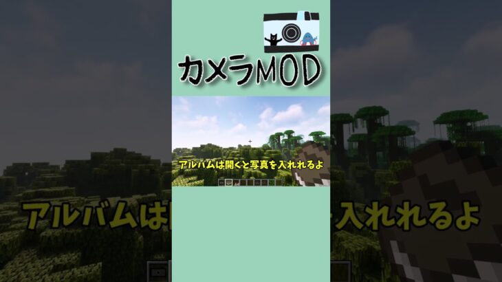 マイクラで写真が撮れる！？【Camera Mod】