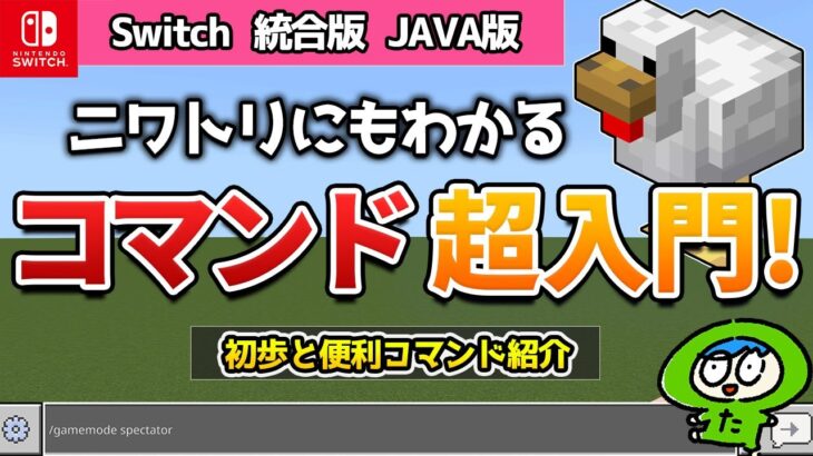 【初級】誰でもコマンドが使えるようになる解説動画！【マイクラ】【統合版　JAVA版　Switch】