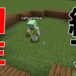 かっちゃん、知性がギリギリすぎて終了 – マインクラフト【KUN】