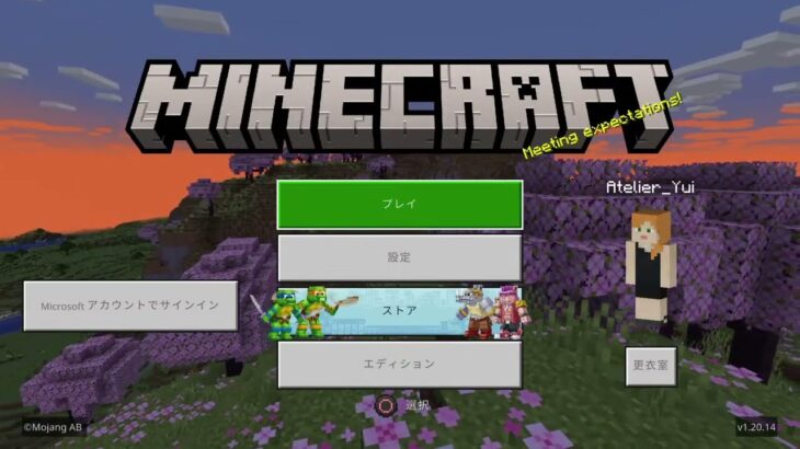 【Minecraft】 #1 家、作り 前編（マインクラフト ／ 途中：家 ／ 完成：畑）【PS4】※ノーカット版