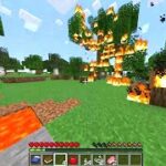 俺はエンダードラゴンを倒してみたい　Minecraft実況