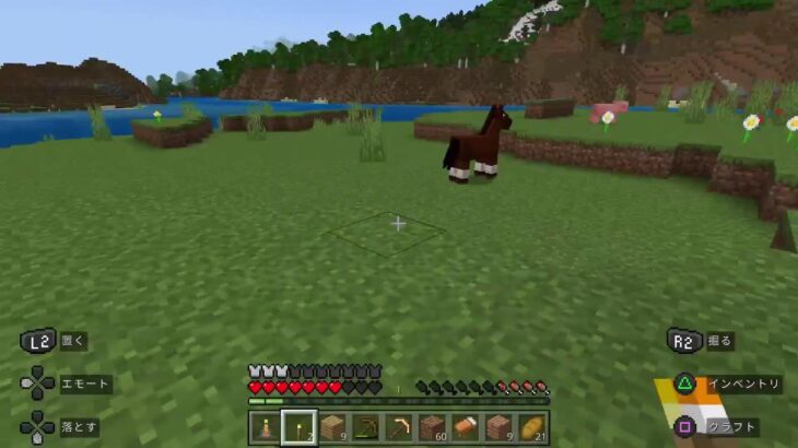 マイクラかじってきた男によるMinecraft