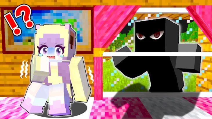 【ベランダに誰かいる😱】ストーカー被害にあってる女子を助けるマインクラフト🔥【マイクラ Minecraft】ぽっぴんず