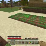 【Minecraft】 #2 村の拡張の巻（マインクラフト ／ 途中：家・柵 ／ 完成：畑・花畑）【PS4】※ノーカット版