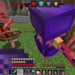 Minecraft moded raid イリジャー襲撃(無編集18)   Forge 1.16.5 (illager army) 7/30