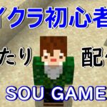 【Minecraft】一人でマイクラ9日目！建築♪建築♪ヒトクラ！