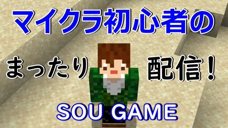 【Minecraft】一人でマイクラ9日目！建築♪建築♪ヒトクラ！