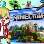 modで遊ぶマインクラフト　ツイキャス同時配信