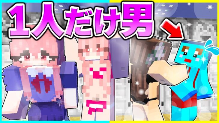 ⭐もしも女子だけの学校に男子が入学したら…🤣【まいくら/マインクラフト】