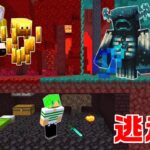 【マインクラフト】倒したモブに変身できる世界で『逃走中』をしたらエンドラ倒せんじゃね…？【いんく】