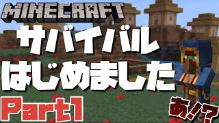 【初投稿】マインクラフトの世界で家をつくろうと思ったら、、、！？