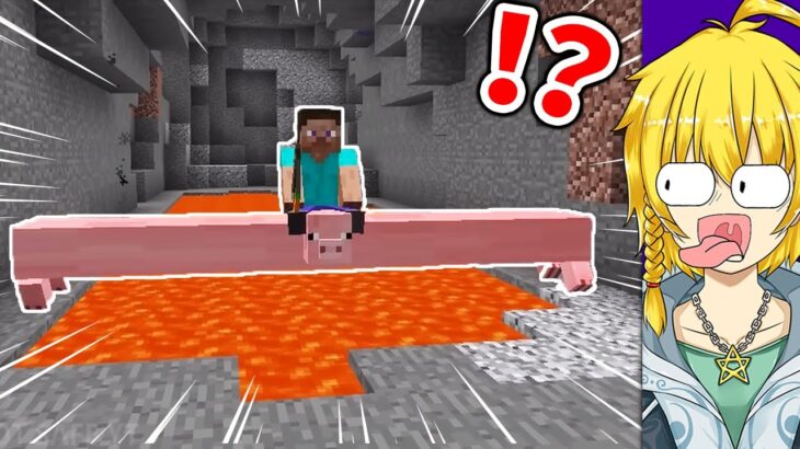 【マイクラ】モブが変形！？キモすぎるマインクラフト【まいくら・マインクラフト】