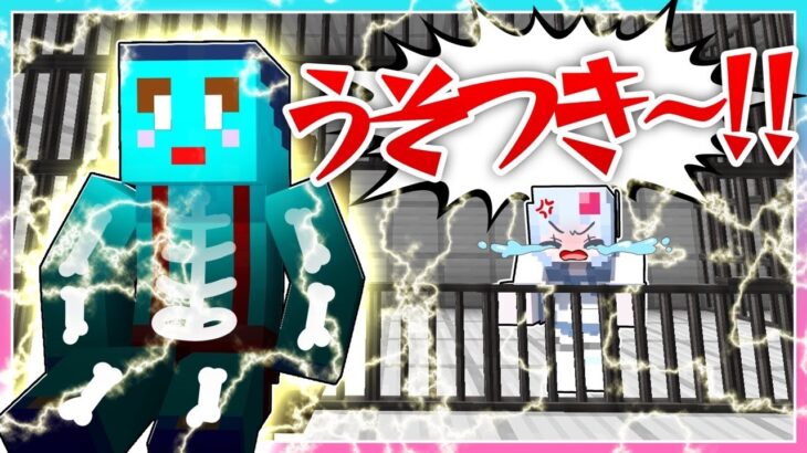 🍒うそ発見器でカップルの秘密を暴いた結果…【まいくら/マインクラフト】りぃべる　けなそゆ　けなたろう