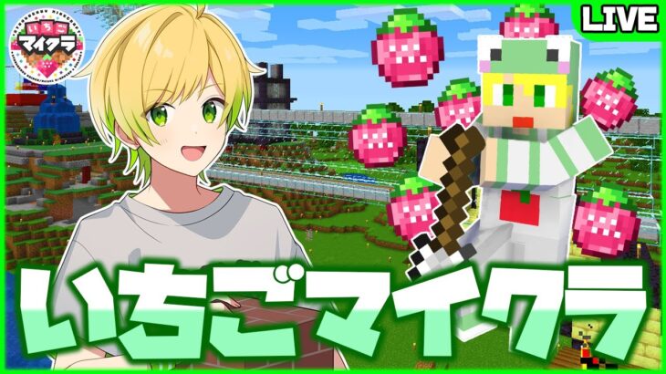 【いちごマイクラ】超巨大な『いちご鉄道』建設します！いちご鯖発展させるぞおおおお！！！！