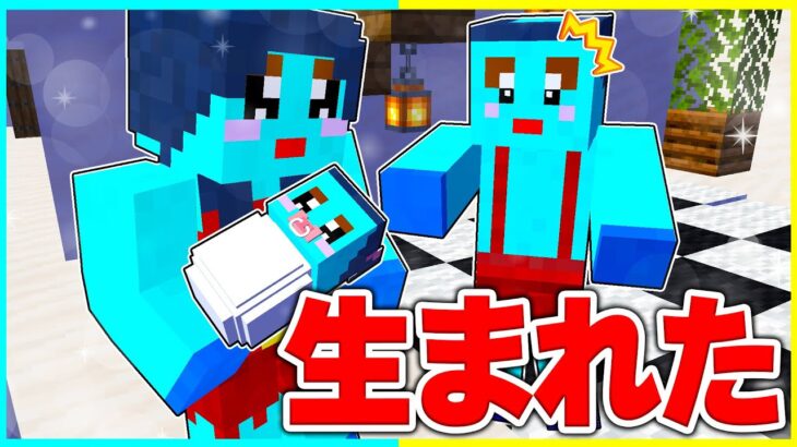 ⭐妹ちゃん登場👶けなたろうの妹が産まれてくるマインクラフト【まいくら/マインクラフト】