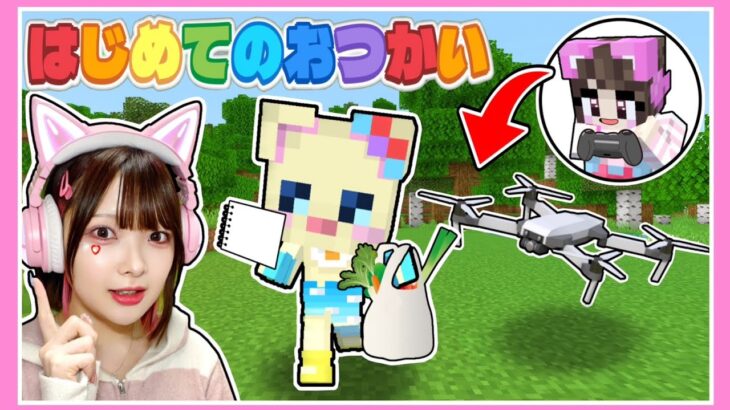 赤ちゃんの『おつかい』をドローンでスパイしたら面白すぎたwww【マイクラ / Minecraft】【たまちゃん】