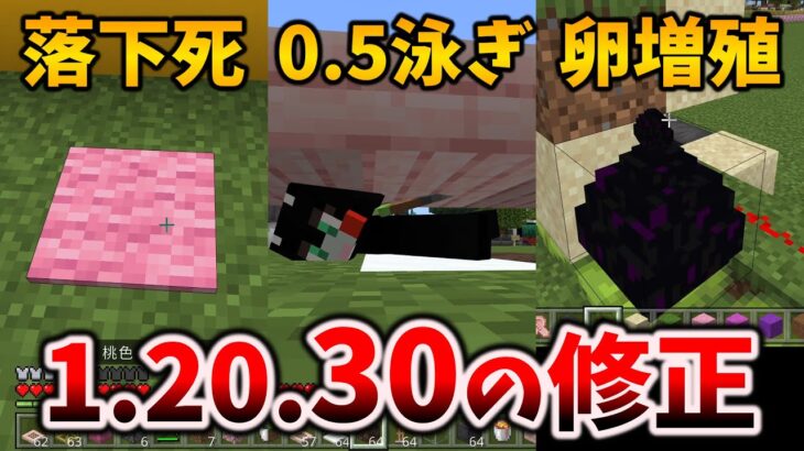 1.20.30アプデで使えなくなった小技＆まだ使えるバグ～ほぼほぼ上方修正な大量パリティ[マイクラ統合版/1.20.30/Bedrock][Windows/PE/Switch/PS/Xbox]