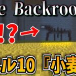 のどかな風景のレベル10『小麦畑』に佇む異形の存在がヤバすぎる!!!-マインクラフト【Minecraft】【Backroomsの散歩マップ】【The Backrooms】