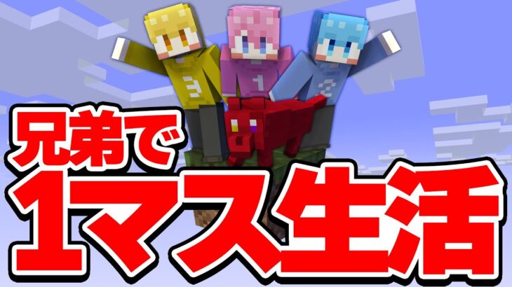 1マスしかない世界で兄弟と1匹で生活【マイクラ/まいくら】