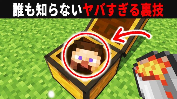 【海外検証】謎が多すぎるマインクラフト12選【ゆっくり実況】【マイクラ】