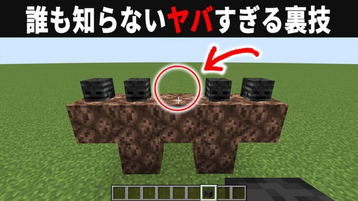 【海外検証】謎が多すぎるマインクラフト12選【ゆっくり実況】【マイクラ】