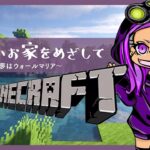 #33_2【マイクラ垂れ流し】今日もみんなありがとう。無言ポコポコ配信