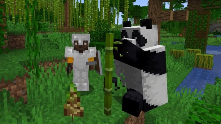 #6 マイクラ何も知らない男の浅パチャマイクラ配信
