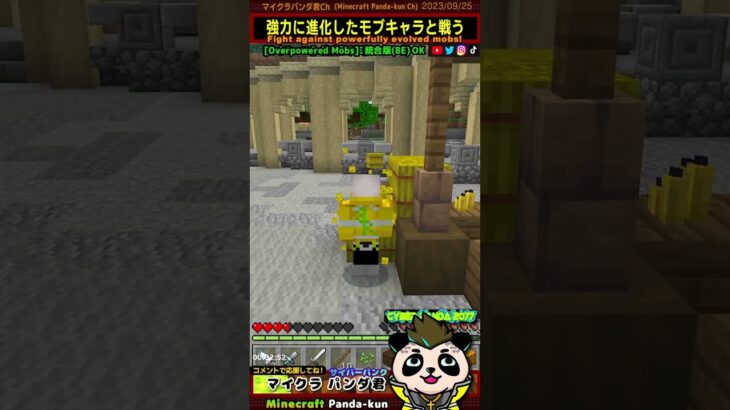 【マインクラフトBE版Mod】スゴイ剣売ってる！エメラルド25個か【マーケットプレイス】