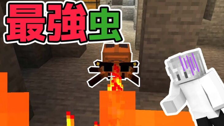 【マイクラ】亡霊鉱山で虫にボコられる…鉄装備と魔法の地図の材料をGet出来るか！！😥 #7【黄昏の森】【ハクロン】