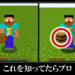 絶対におかしい。マイクラ統合版とJAVA版の違い15選｜誰も見たことのない衝撃的な小ネタ