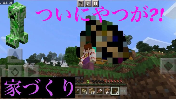 [Minecraft]Part3 家作ってたらまさかのやつに?!