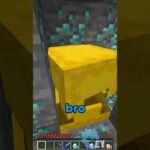 Trading For a Stone Block in Minecraft…