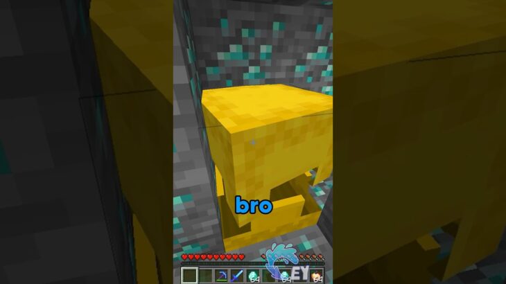 Trading For a Stone Block in Minecraft…