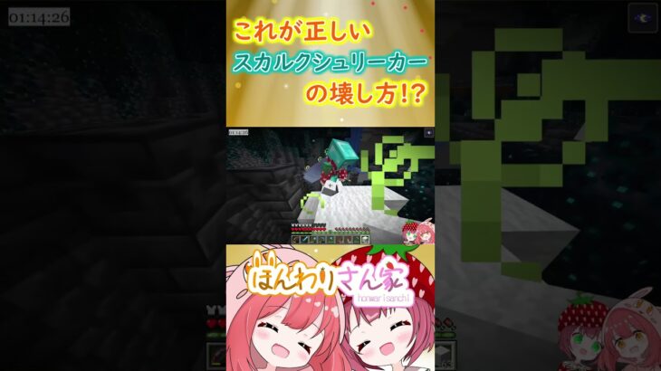 【minecraft】初めての古代都市探索中、スカルクシュリーカーの対処法を発見!?みんなで壊せば怖くないｗ #Shorts