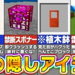 【マイクラ統合版】チートでしか入手できない危険すぎる隠しアイテム２０選【まいくら・マインクラフト】