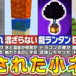 【マイクラ】誰も教えてくれないマイクラの謎仕様・小ネタ１８選【まいくら・マインクラフト】