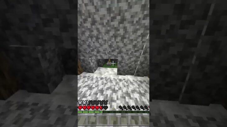 自分の家にちょっとしたセキュリティみたいなのを作った#マインクラフト