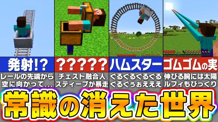 もしもマイクラから常識が消えたら！？バグりまくったマインクラフト【まいくら・マインクラフト】