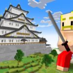 【マイクラ】さらわれた姫君を救え！