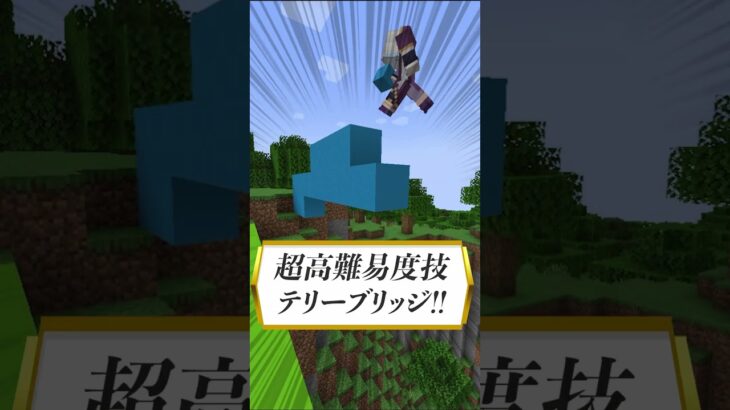 【初心者vsプロ】マイクラで橋をかける方法 ~コマンド編~【マイクラ・マインクラフト】