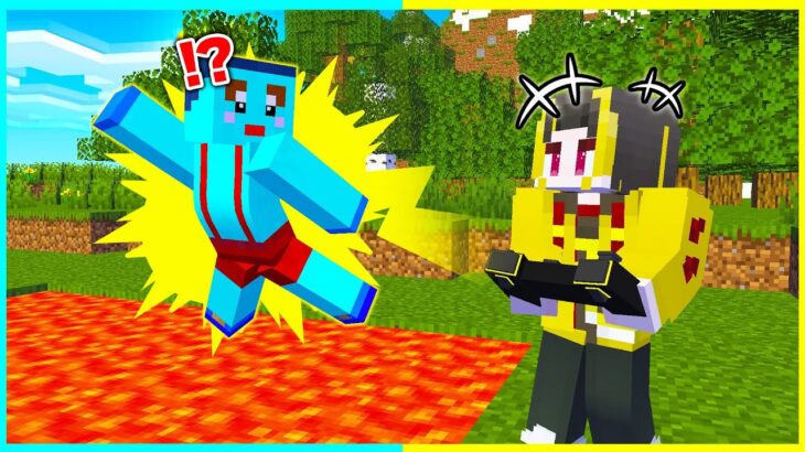 けなたろうの体をコントロールしてイタズラしてみたwww【まいくら / マインクラフト】