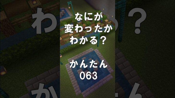 マインクラフトでマイクイズ！なにがかわったかわかる？アハ体験で間違い探し（かんたん）063  #shorts #マイクラ #マインクラフト #minecraft #マインクラフトでマイクイズ