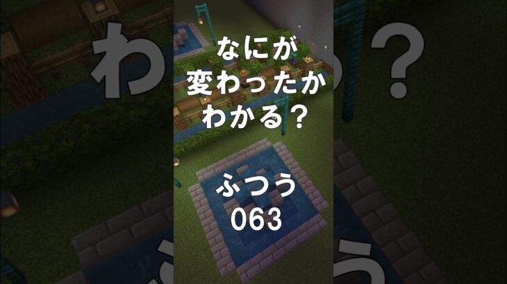 マインクラフトでマイクイズ！なにがかわったかわかる？アハ体験で脳トレ間違い探し（ふつう）063 #shorts #マイクラ #マインクラフト #minecraft #マインクラフトでマイクイズ