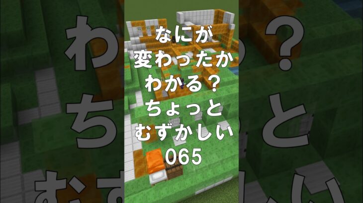 マインクラフトでマイクイズ！なにがかわったかわかる？アハ体験で間違い探し（ちょっとむずかしい）065 #shorts #マイクラ #マインクラフト #minecraft #マインクラフトでマイクイズ