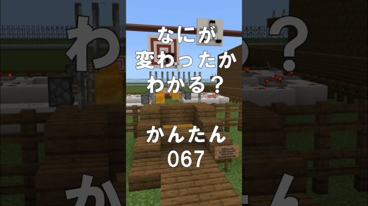 マインクラフトでマイクイズ！なにがかわったかわかる？アハ体験で間違い探し（かんたん）067  #shorts #マイクラ #マインクラフト #minecraft #マインクラフトでマイクイズ