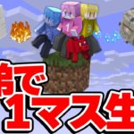 1マスしかない世界で兄弟と1匹で生活 #3【マイクラ/まいくら】