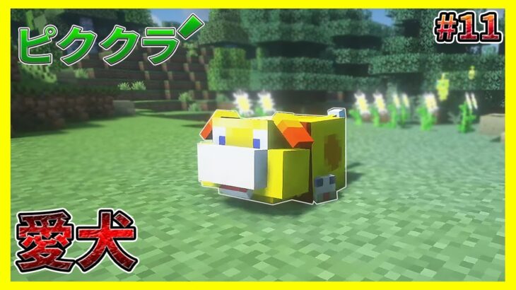 オッチンを探し求める旅が長すぎた#11【マイクラ】【ピククラ´】【Minecraft】