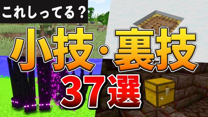 知らないと損するマイクラの裏技37選【ゆっくり解説】