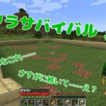 【マインクラフト 】 よし！家作る場所決めるぞ～！ ＃4【マイクラサバイバル】